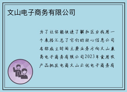文山电子商务有限公司